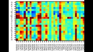 Tutorial for Performing In Silico Protein Mutagenesis using Python Wrapper Mutatex employing Foldx [upl. by Nylitak]