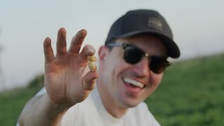 The secrets behind ManiLifes peanuts [upl. by Tronna975]