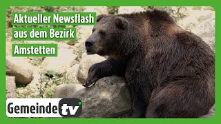 Ferienspiele Tierpark und der Eventtipp aus dem Bezirk Amstetten [upl. by Eitsirk]