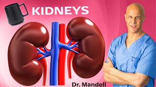 1 Cup Will Tell Your KIDNEYS to Never Give Up  Dr Alan Mandell DC [upl. by Seraphim17]