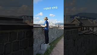 Hwaseong Fortress 수원 화성水原 華城 성곽길 기행 세계문화유산 한국기행 [upl. by Manvel]