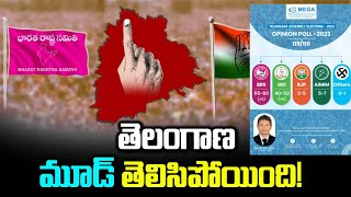 Telangana Election survey 2023 results of Q MEGA Telangana Politics I Q mega latest survey on TS [upl. by Seel346]