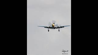 P51 Mustang landing with pops and crackles vintageaircraft aircraft mustang landing v12 sound [upl. by Cerf]