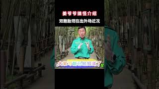 姜爷爷搞怪介绍睿辉现在出外场的近况 姜爷爷 辉宝睿宝 大熊猫 宋爷爷 [upl. by Drusus]