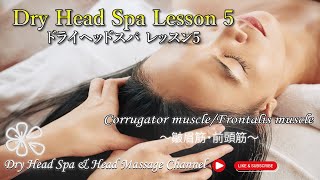 Head Massage【Lesson 5】Corrugator muscleFrontalis muscle・皺眉筋前頭筋～Dry Head Spaドライヘッドスパヘッドマッサージやり方～ [upl. by Doowrehs]