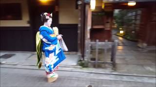 Walk with geisha in Kyotos famous Gion district [upl. by Ymer]