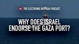 Why does Israel endorse the Gaza port [upl. by Hesper]