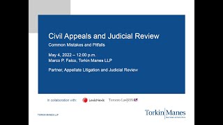 Civil Appeals and Judicial Reviews Common Mistakes and Pitfalls [upl. by Nisse]