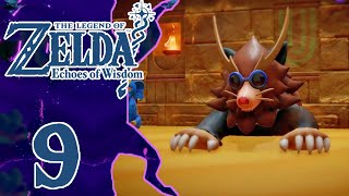 SACRARIO GERUDO  The Legend Of Zelda Echoes Of Wisdom ITA  Episodio 9 [upl. by Maggee612]