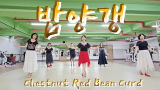 밤양갱 라인댄스 Chestnut Red Bean Curd linedance l 맘영 라인댄스 [upl. by Kelson36]