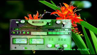 Oromo Music  Ali Shabbo Duraan Walljaalannaa Audio Music [upl. by Hobie]