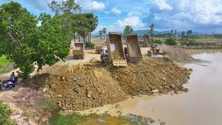 Amazing Dozer KOMATSU D60P Move Dirt and Several Delivery Dirt Filling Pond Using Trucks SHACMAN [upl. by Annoyi]