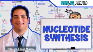 Metabolism  Nucleotide Synthesis  Purine amp Pyrimidine Synthesis [upl. by Ykciv]