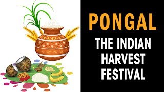 Pongal  The Indian harvest festival  Pongal 2018  Artha  Amazing facts [upl. by Amling]