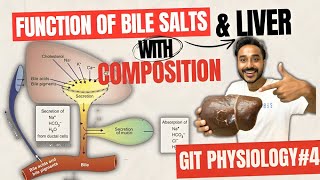 function of bile salt physiology  function of liver physiology  function of bile pigment [upl. by Rednasxela]