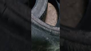 Tyres Sale secondhand tyre Size 195 65 r16 [upl. by Oemor806]