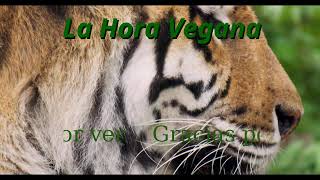 La Hora Vegana [upl. by Tekcirc]