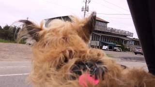 Ocracoke Island Village  Drive Through [upl. by Somisareg]