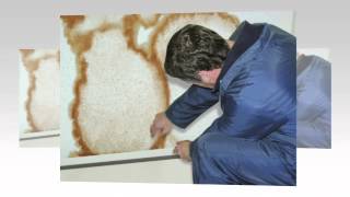 Damp Proofing Specialists  Peter Bird Ltd [upl. by Harmony]