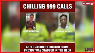 Chilling 999 calls after 23 year old stabbed in neck during rampage [upl. by Rogozen608]