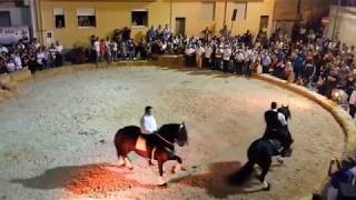 Cavalcata finale durante la manifestazione quotSicilia Allevaquot a Calatafimi [upl. by Cocks]