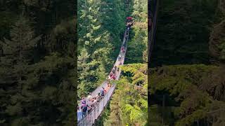 Capilano Suspension Bridge Vancouver [upl. by Vitia169]