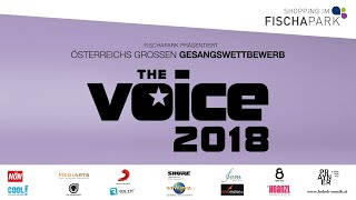 THE VOICE 2018  2 Show Christiane Rechenmacher [upl. by Naehgem]