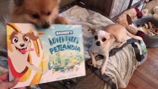 PETLANDIA PERSONALIZED DOG BOOKS [upl. by Anitram]