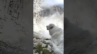 Abruzzo Pietracamela in provincia di TeramoZen il custode del Rifugio Franchetti 📽️ cifo84 [upl. by Akisej]