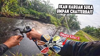 Mancing Ikan Haruan Kebuluran  Lama Tak Dapat Makan Rakus Menangkap UmpanTarik Tak Ingat Punya [upl. by Camille]