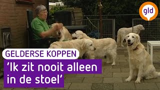 Een huis vol honden  Gelderse Koppen 26 mei 2012  Heerde [upl. by Bully776]