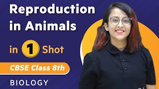 Reproduction in Animals in One Shot  Biology  Class 8th  Umang  Physics Wallah [upl. by Guidotti]