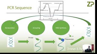 Electrochemical biosensors for DNA detection [upl. by Sibeal919]