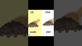 Vocabulary of UK and USA [upl. by Ainyt]