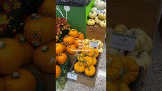 Are you preparing for a visit from the Great Pumpkin 🎃 pumpkinfest pumpkin lakelandfl publix [upl. by Aracal]