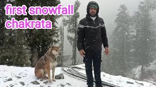 first snowfall in chakrata lokhandi snowfall snow chakratahills chakrata uttrakhand [upl. by Melburn240]