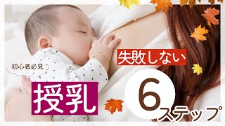 失敗しない授乳！６ステップ 授乳 新米母 [upl. by Radke]