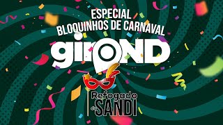 ESPECIAL DE CARNAVAL  REFOGADO DO SANDI [upl. by Vevina]