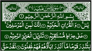 Surah Yaseen amp Surah Rahman full  Ep 438  yaseen fast recitation  beautiful quran recitation [upl. by Aisatal152]