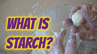 What is starch [upl. by Sheryle]