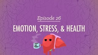 Emotion Stress and Health Crash Course Psychology 26 [upl. by Bennet247]