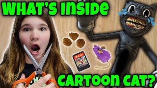 Whats Inside Cartoon Cat Cutting Open Cartoon Cat Skit [upl. by Jt]