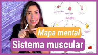 Faça um MAPA MENTAL junto comigo SISTEMA MUSCULAR [upl. by Ringo]