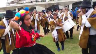 Conjunto de Zampoñas de San Marcos  V Encuentro Interuniversitario de Sikuris [upl. by Soigroeg538]