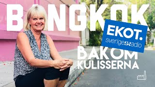 Hur bor en korrespondent Margita Boström Ekots Asienkorrespondent [upl. by Eceer]