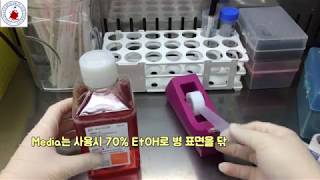 Mammalian cell culture media [upl. by Imik]