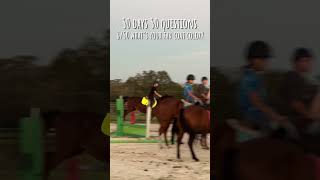 horse horsey horseenthusiast equestrian equestrianvibes horseenthusiast horsefan [upl. by Nelo]