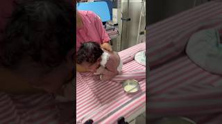 BURP AFTER THE FEEDING Burping position newborn baby 🧑‍🍼ankur maitrika hospital [upl. by Hollenbeck]