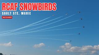 The RCAF Snowbirds Canada’s Coolest Pilots [upl. by Asseral34]