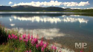 Richardson Highway Alaska [upl. by Berneta]